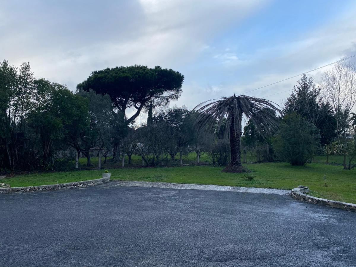 American Motel Cisterna di Latina Luaran gambar